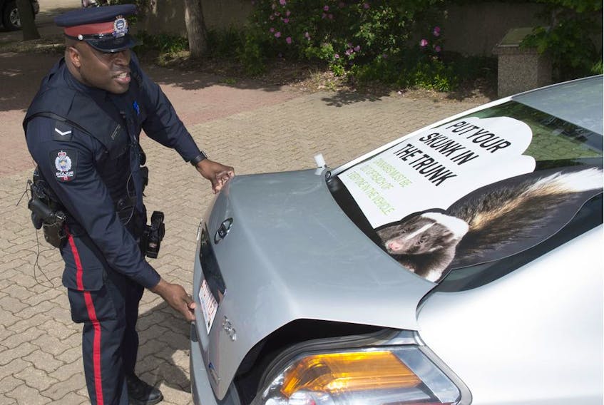 Const. Dexx Williams, EPS Cannabis Compliance Officer, launched a summer cannabis campaign to remind Edmontonians to keep their cannabis out of reach in their vehicles. Police laid 209 charges for improper cannabis transport this year.