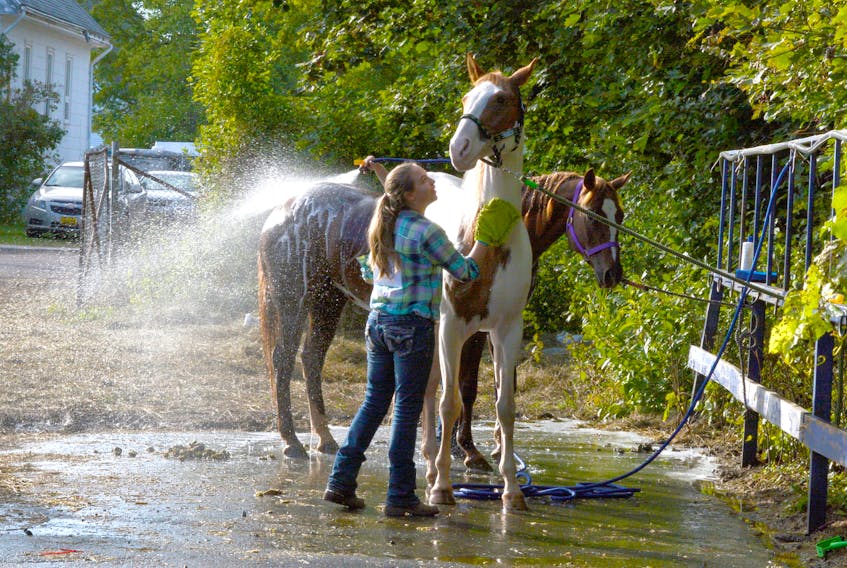 Horses and their riders are always a big attraction at the Cumberland County Exhibition and they will be back again to entertain crowds at the 2019 exhibition. Nicole Martin washes Apollo after riding her horse at the exhibition. DAVE MATHIESON – AMHERST NEWS