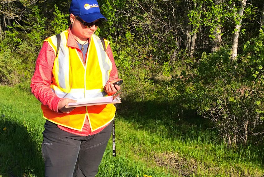 Amelia Barnes, a graduate student in environmental studies at Dalhousie University, will be working with the Nature Conservancy of Canada this summer documenting the interactions between wildlife and roadways along the Isthmus of Chignecto that connects Nova Scotia and New Brunswick.