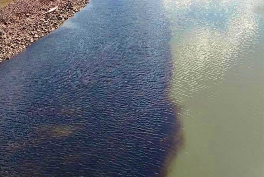 The Restigouche River carries a dark liquid as it flows past the Campbellton, N.B. waterfront on May 10. —Shawn Metallic/Facebook