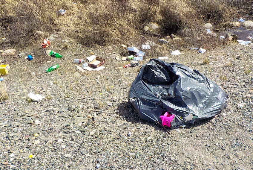 With so many options to get rid of it, why is garbage so easy to find in Labrador West?