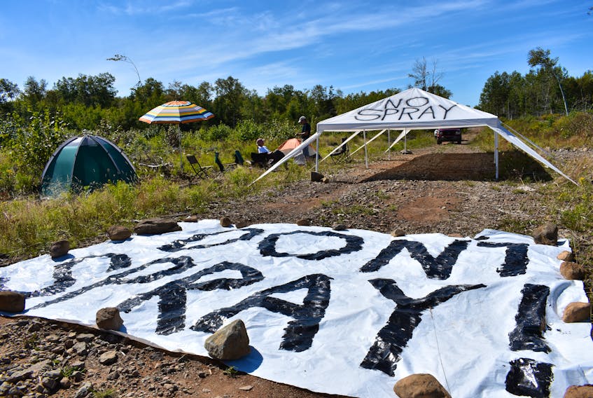 Protestors are occupying forestry land in the North Mountain community of Burlington in an attempt to prevent approved aerial herbicide spraying from taking place on 115 acres near the intersection of McNally Road and Nollett Beckwith Road.