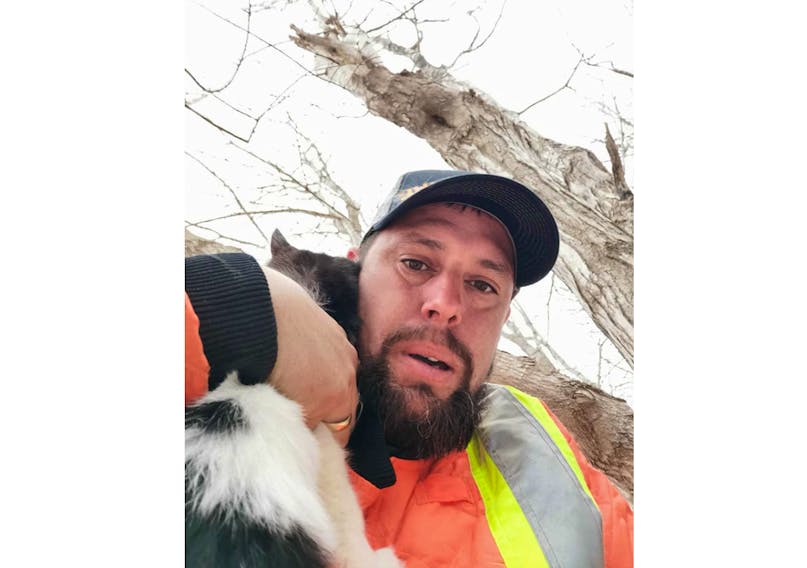 Arborist Roger Toney climbs down a tree clutching a shivering kitten that had been trapped in the old poplar for several days. He owns Tough Cuts Timber Service & Firewood in Cambridge and was at the Rocknotch Road location for several hours. JESSE CONNORS PHOTO
