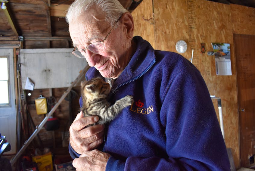 Leonard Gaudet, a Second World War veteran, is far from hardened from his time at war. In fact, he has a special soft spot for animals. Here, he shows a stray kitten he cares for some love. It seems the feeling is mutual.