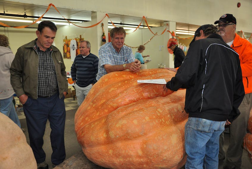 The late Gerard Ansems of Steam Mill was the star of the show at the Windsor-West Hants Pumpkin Weigh-Off in 2012. He took the heaviest pumpkin he ever grew to the event, which tipped the scales at 1,727 pounds.