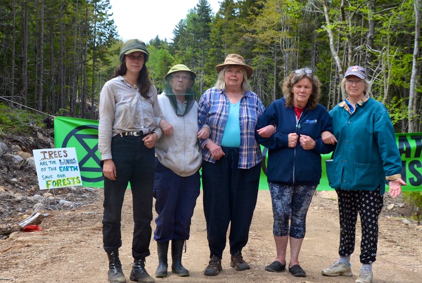 Olga Comeau, centre, bought a forest 50 years ago and promised she would protect it. So far she’s kept her word. And in 2019 she joined Extinction Rebellion in an effort to save forests in Nova Scotia and globally. She believes in ecologically sustainable forestry and the need for forests to sequester carbon dioxide during a climate emergency.