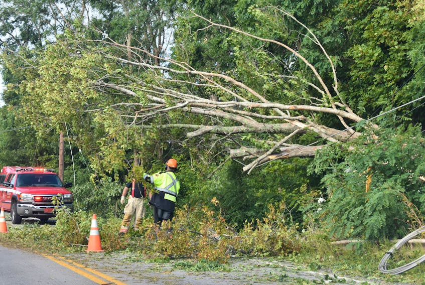 Environment Canada had reports of wind gusts of up to 93 km/h in Greenwood during Dorian's presence in Nova Scotia the weekend of Sept. 7-8. Toppled trees could be found throughout the Annapolis Valley in the storm's wake. These are some shots from Greenwood, Kingston, South Farmington, Middleton and Melvern Square.