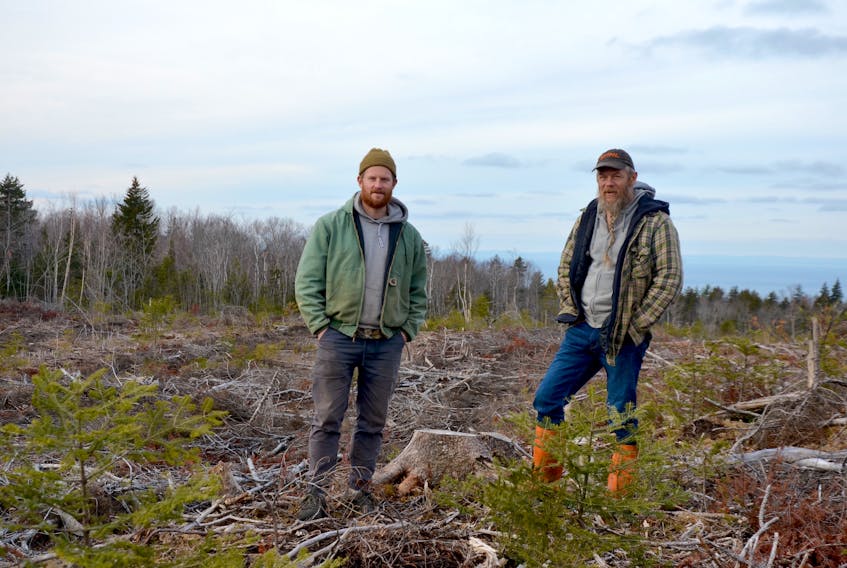 Adam Harris and Deryk Eagles bought an 86-acre clear-cut they’re in the process of rehabilitating by offering it to young homesteaders who believe in ecological sustainability and hard work.