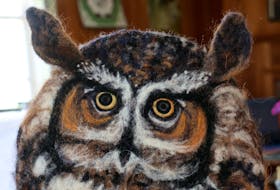 Staff at Cobequid Wildlife Rehabilitation Centre will soon be able to use this great horned owl felt puppet when they help care for orphaned or injured owlets.