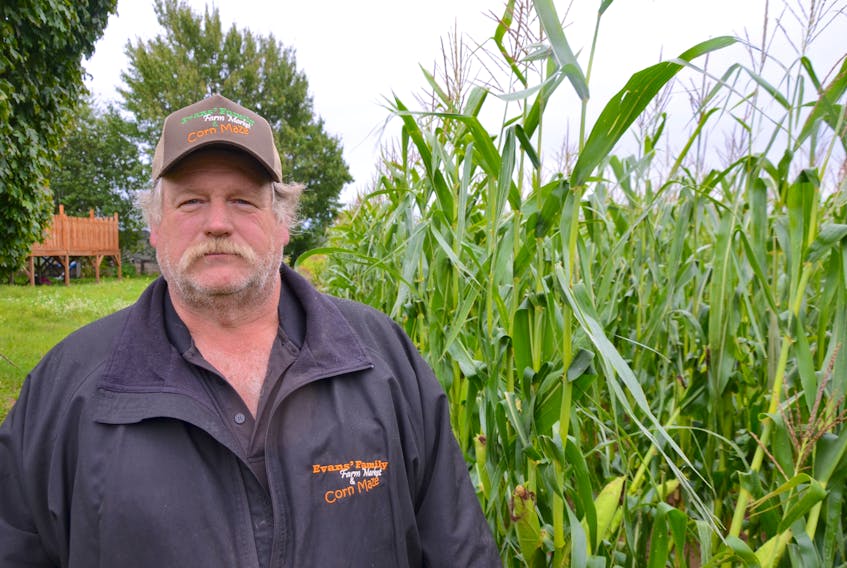 Terry Evans of Evans’ Family Farm in Wilmot lost some corn to post-tropical storm Dorian, but 90 per cent of his crop survived. He’s just waiting to see if what he has left matures or turns to mush. The Wilmot farmer didn’t have an easy year, but his wife calls him an eternal optimist.