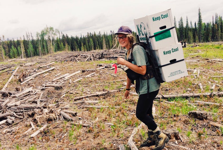 Mary Jane Rodger back in her foreman days hauling boxes of trees to her planters on a cutblock outside Edson, AB in 2014. There are about 250 seedlings in a box. Rodger has planted about 500,000 in her life so far.