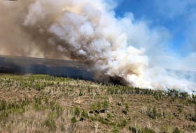 Department of Lands and Forestry continued to battle 120-hectare forest fire in Springfield throughout the day on Tuesday.