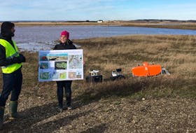 A team, led by Saint Mary’s University researcher Dr. Danika van Proosdij and the president of CWES Inc. Tony Bowron, launched the Converse Marsh Managed Realignment Site in Fort Lawrence, near Amherst on Tuesday.
