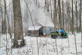 Our small sugar bush, on the farm in Bainsville, Ontario, is one of the most peaceful places on earth. We still do it the old fashion way and I don't think I've ever tasted better!