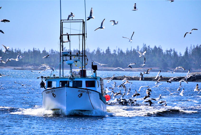 You can almost hear the cry of the seagulls. Warren Hoeg snapped this lovely photo on Sunday. He titled it "Homeward Bound."

A safe return, with an "escort", to Little Harbour, Eastern Shore, Nova Scotia. A welcome scene, repeated many times a day, in the fishing villages that dot the rugged coastline of Nova Scotia.