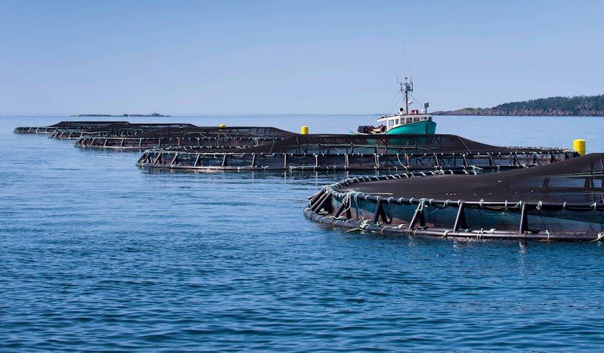 A Cooke Aquaculture salmon farm in Nova Scotia.