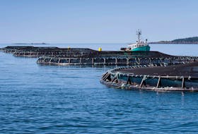 A Cooke Aquaculture salmon farm in Nova Scotia.