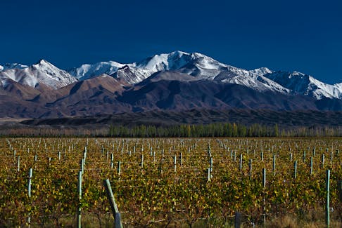 Canada is the third-largest market for Argentina’s wine industry. - Contributed.