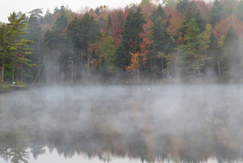 David Benjamin is an artist.  He writes “who knew there were 10 specific types of fog? I have painted several different kinds but did not know they had names. The photo attached I call "Birth of a Fog Bank" because it looked like the fog was growing out of a corner of the lake.”