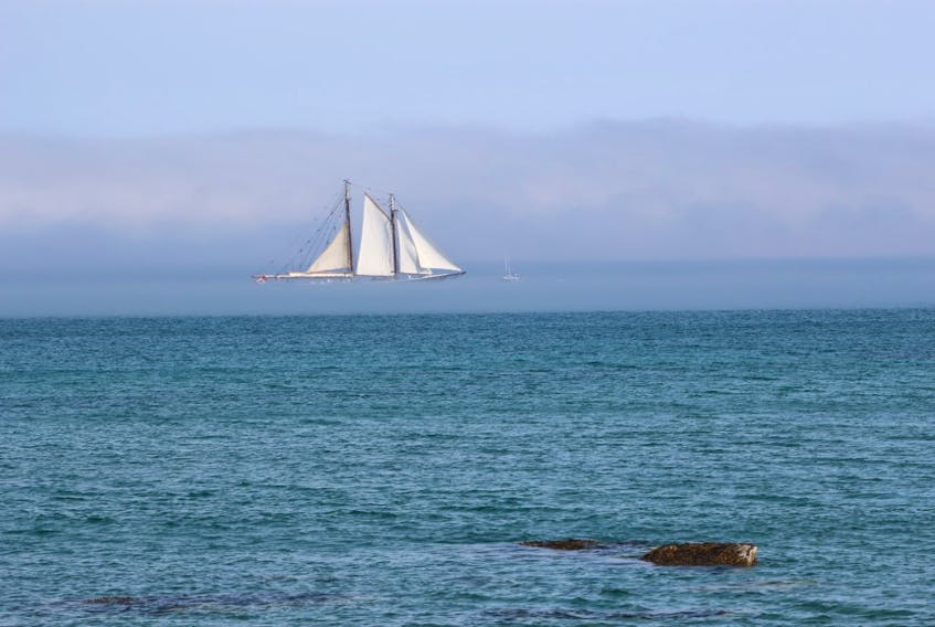 Rob Jameson watched as the Bluenose II sailed out of a band of advection fog on Port Mouton Bay N.S. Tuesday afternoon. It doesn’t get much more Maritime than that!