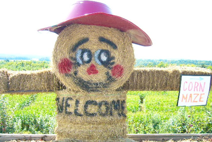 
This friendly scarecrow made of hay bales greeted many visitors to the Indian Garden Farms corn maze. - Lisa J. Ernst
