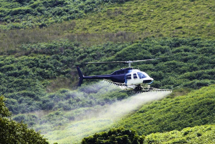 
A helicopter applies a herbicide spray in a forested area. 
