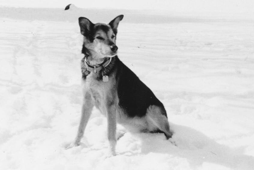 
Maria-dog on Lake Beeler. - Art White

