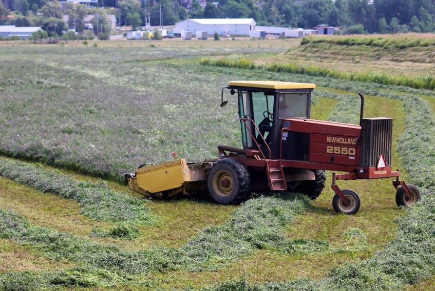 A farm worker mows a field in Port Williams, Kings County Tuesday afternoon.
