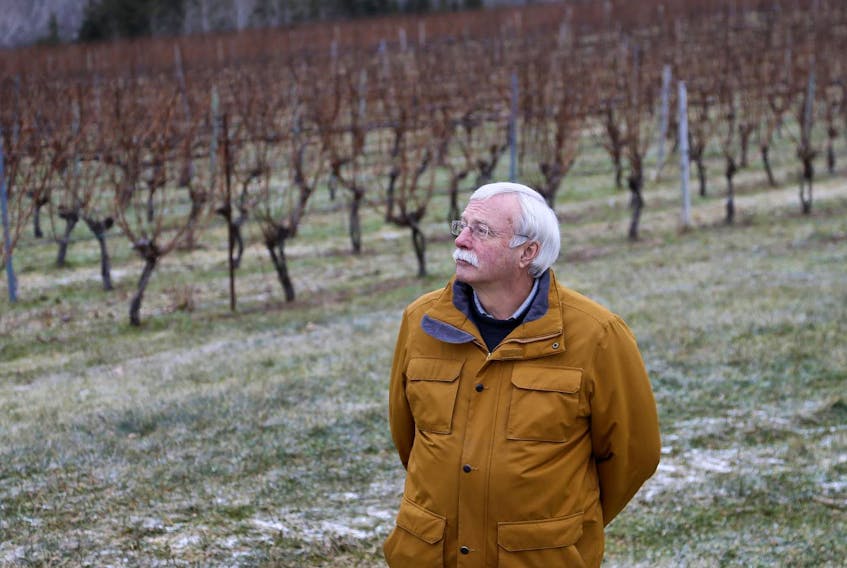 Stewart Creaser, owner of the Avondale Sky Winery, visits the vineyard in Avondale on Thursday