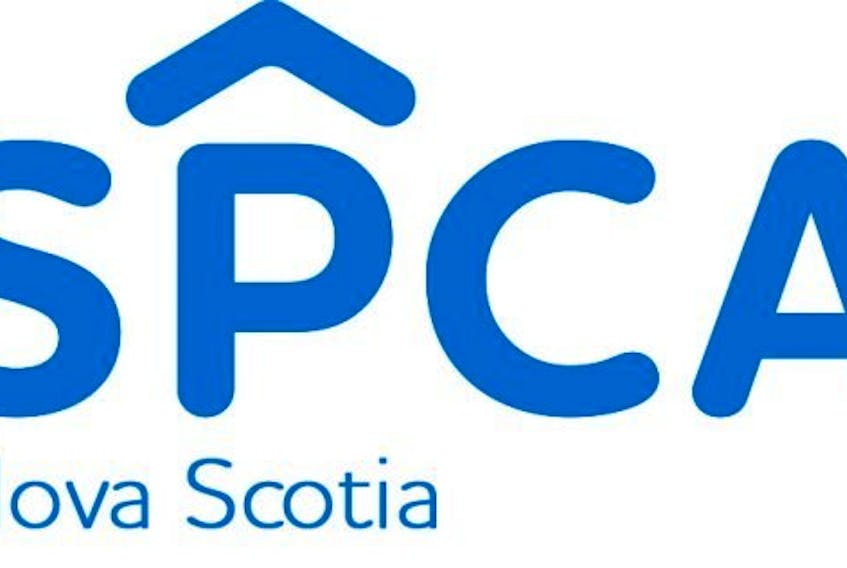 
- SPCA logo
