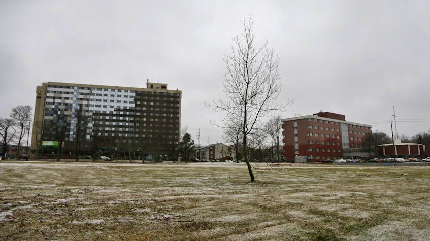 
Gardeners are petitioning the city not to redevelop the former St. Patrick’s High School site.
