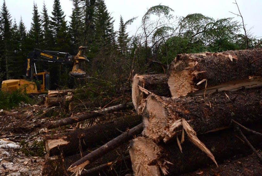 A harvester is pictured cutting softwood on a private land cut in Colchester County in November.