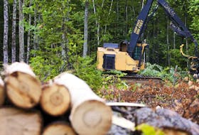 
Forest harvesting won’t stop just because Northern Pulp stops, writes Don Wilson. - File
