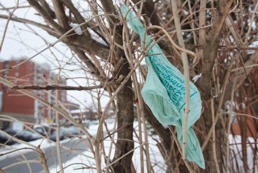 
A discarded plastic grocery bag is caught in a tree in central Halifax. (Tim Krochak)
