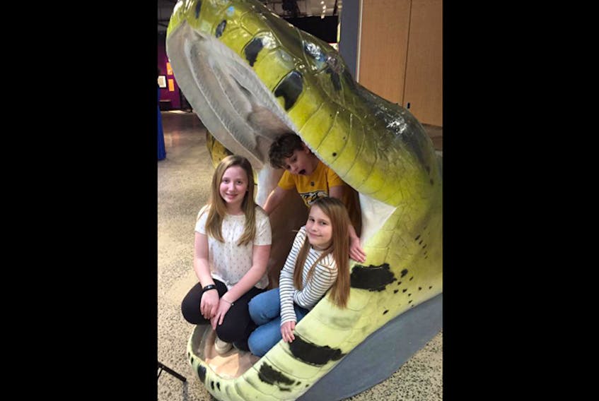 
From left, Grace Leach, Wyatt Purcell and Monica LeBlanc, all students at St. Mary’s Elementary School in Halifax, test the size of a replica prehistoric snake that's part of The Science of Ripley's Believe It or Not exhibit opening Saturday at the Discovery Centre in Halifax. 
