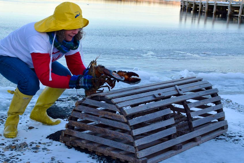 
Donna Hatt helps Lucy to her lobster trap during a fun Groundhog Day event held as part of the annual South Shore Lobster Crawl. (Kathy Johnson)
