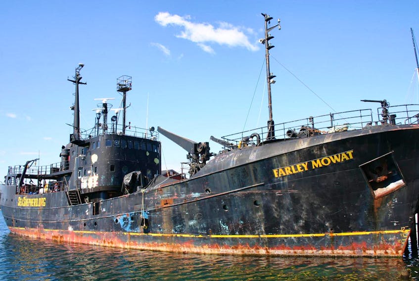 
The anti-sealing ship Farley Mowat sank in Shelburne Harbour in 2015. The coast guard claimed $839,862.02 for refloating and cleanup of the ship. - File
