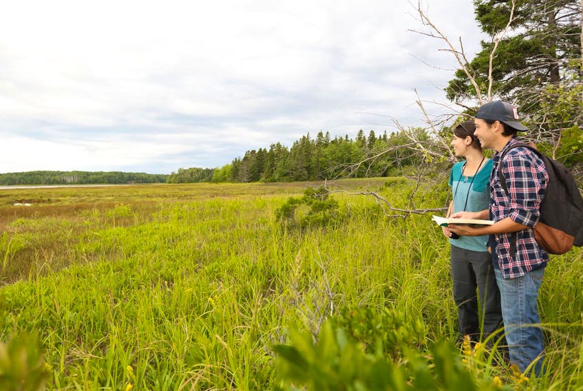 
The Nature Conservancy of Canada (NCC) has received a gift of coastal land that expands its Pugwash Estuary Nature Reserve, located in one of the few remaining undeveloped river estuaries on Nova Scotia’s north shore. - Mike Dembeck
