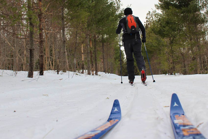 
Prince Edward Island offers a combination of open plains and wooded forests for cross country skiing. - Emily Sollows 
