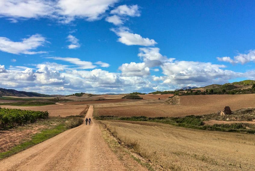 
One of the many spectacular landscape scenes along the Camino de Santiago pilgrimage in Spain. - Maureen Summers
