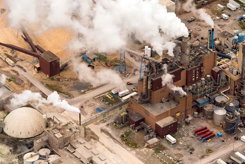 
The Northern Pulp mill at Abercombie Point, Pictou County in 2014. - Christian Laforce / File

