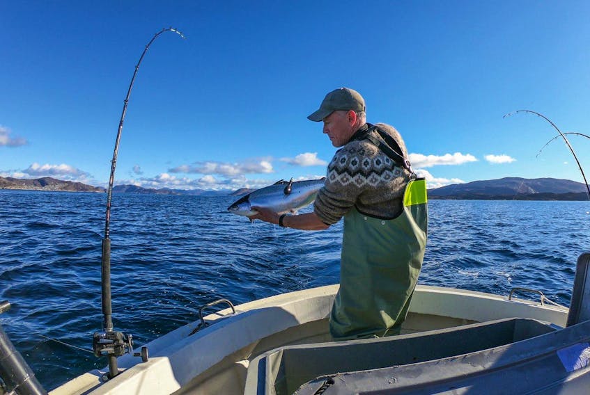 
Jonathan Carr, Atlantic Salmon Federation vice-president of research, releases a tagged adult Atlantic salmon off the west coast of Greenland earlier this month. - Atlantic Salmon Federation
