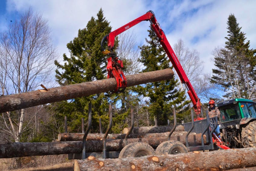 
Peter Spice and his wife, Pat, mainly cut red spruce that go to various sawmills around the province, however, low quality or standing dead wood heads to Northern Pulp in Pictou County. - Aaron Beswick
