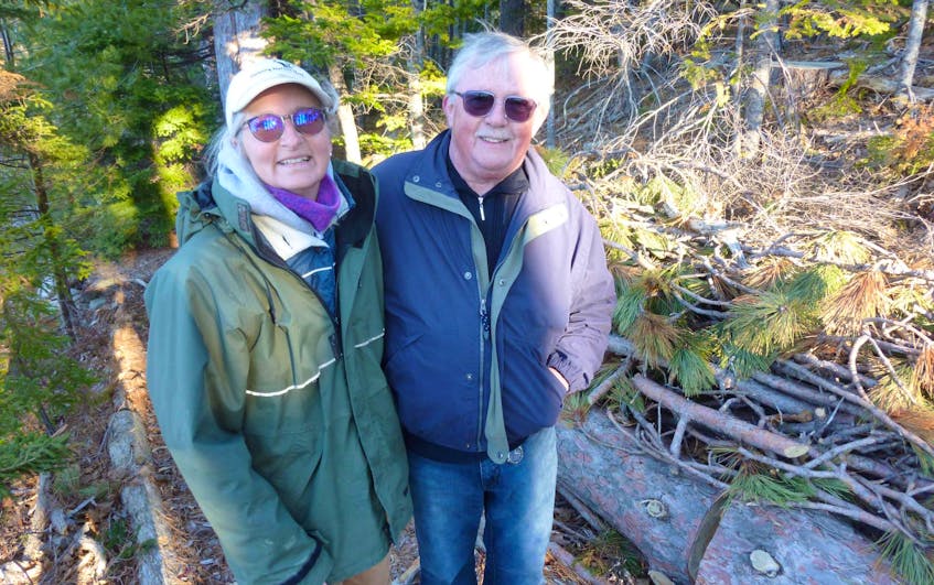 
For the past decade, Helping Nature Heal owner Rosmarie Lohnes has been working with property owner Tim Freeman to preserve and enhance his eight-acre forested property along the LaHave River. Logs, branches and live plant material are used to mitigate shoreline erosion.
