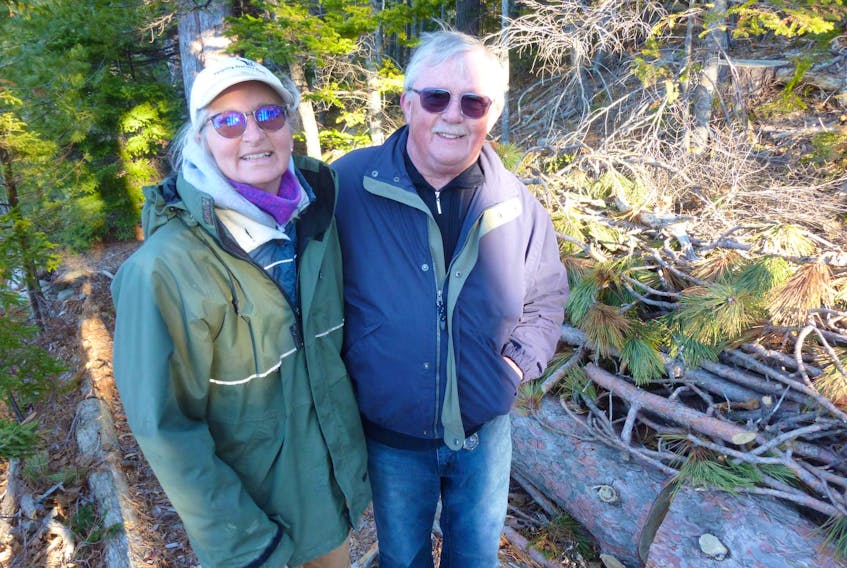
For the past decade, Helping Nature Heal owner Rosmarie Lohnes has been working with property owner Tim Freeman to preserve and enhance his eight-acre forested property along the LaHave River. Logs, branches and live plant material are used to mitigate shoreline erosion.
