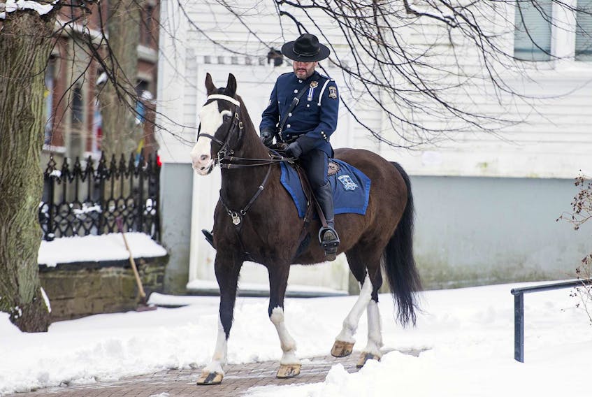 
Police horse Sarge and his first partner Sgt. Chris Marinelli trot up to Sarge’s retirement ceremony on Tuesday afternoon. - Ryan Taplin
