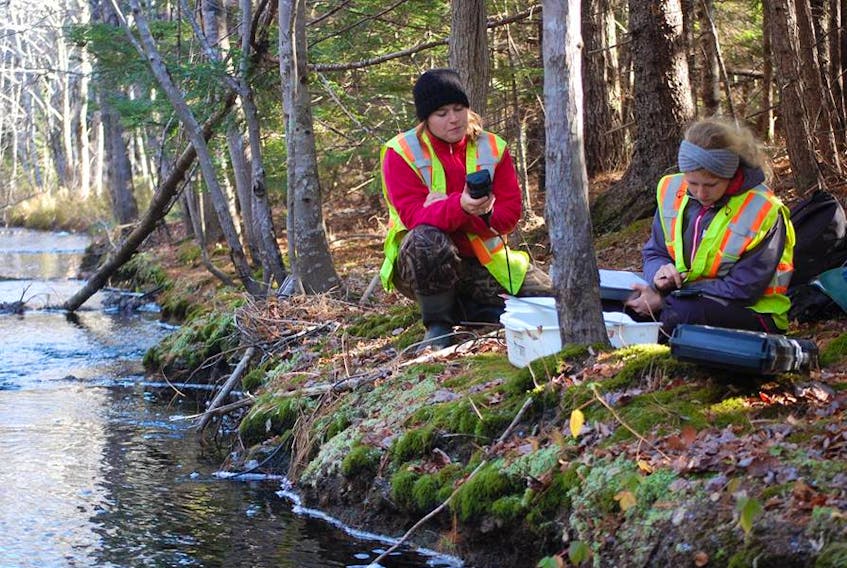 
Members of Coastal Action conduct research during last year’s LaHave River Watershed Project.
