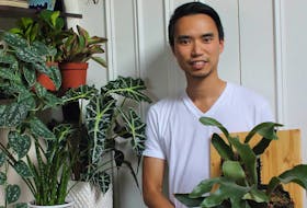
Darryl Cheng’s Toronto apartment has become a jungle of houseplants and is documented in his popular Instagram account, @houseplantjournal. 
