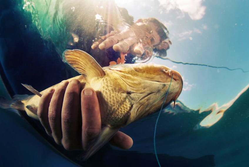 
For John DeMont fishing is mostly just an excuse to be outdoors doing not much of anything, while pretending to have some elevated purpose. - 123RF
