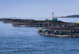 
A view of one of 10 Cooke Aquaculture salmon farms in Nova Scotia; this one is in the Bay of Fundy off the shore of Meteghan. - File
